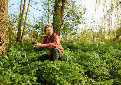 Bos - Buit eetbare natuur Wildplukcursus