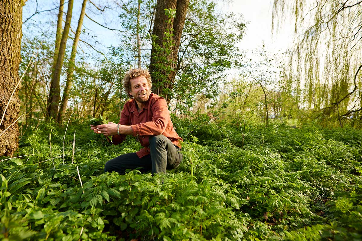 Kralingseboswandeling Kralingseboswandeling