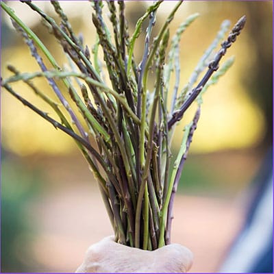 wilde asperge